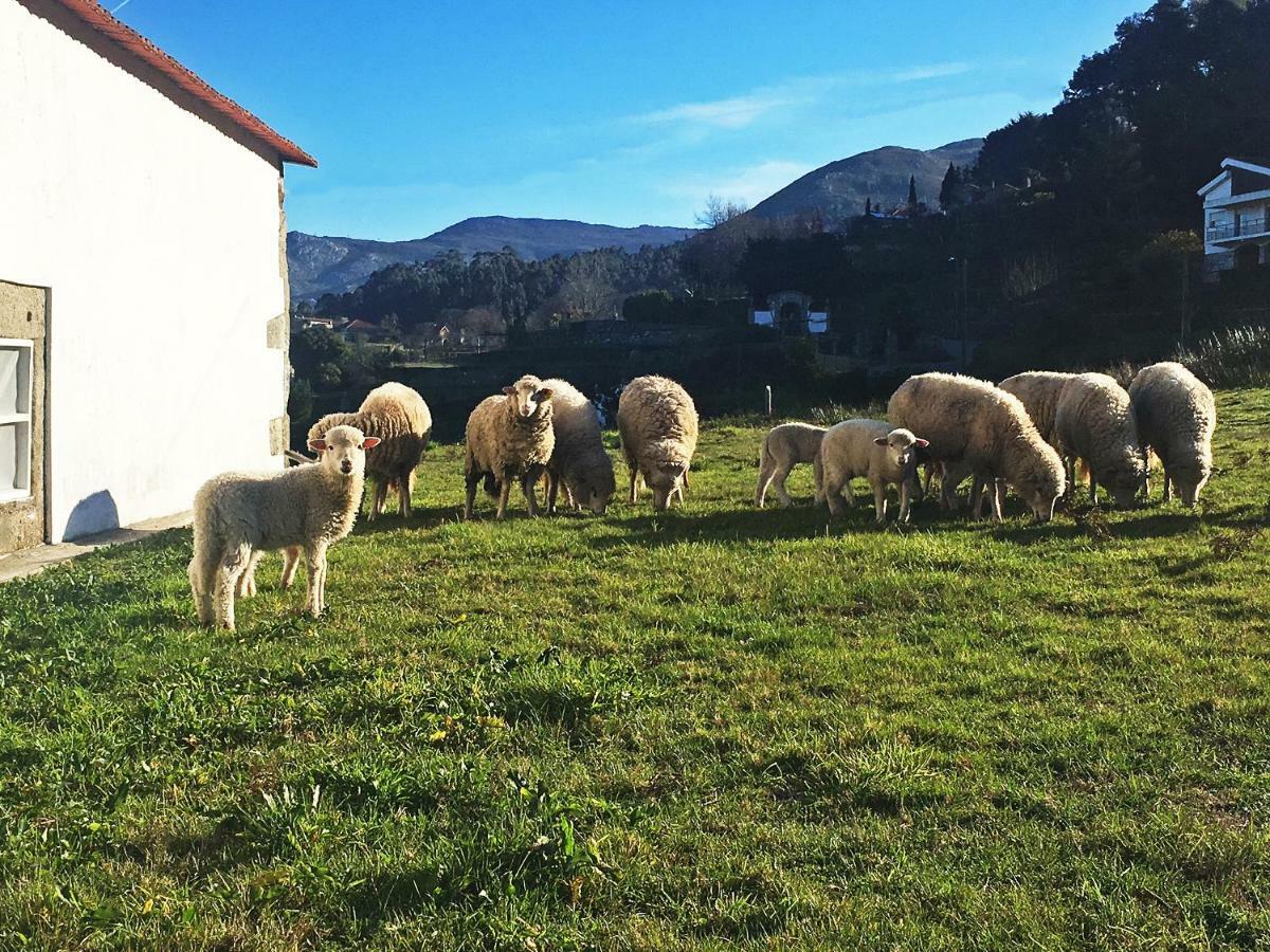 Pensjonat Casas Da Loureira - Casa Do Pote Vila Nova de Cerveira Zewnętrze zdjęcie