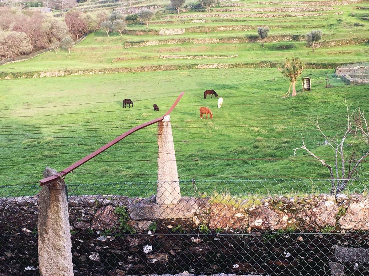 Pensjonat Casas Da Loureira - Casa Do Pote Vila Nova de Cerveira Zewnętrze zdjęcie